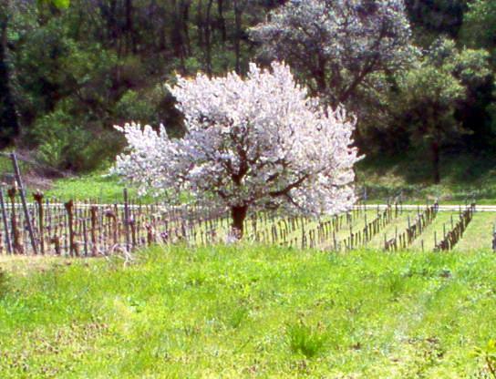 Siebenbruederhof Daire Weiden am See Dış mekan fotoğraf